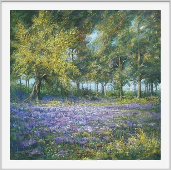 Campo di lavanda