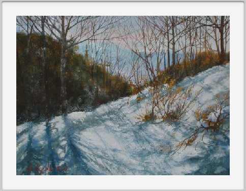 Neve nel bosco