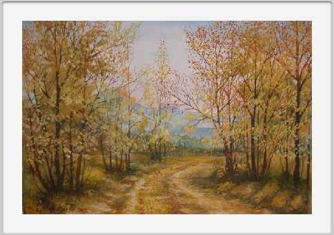 Strada nel bosco