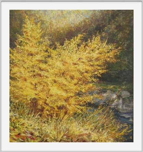 Magia d'autunno
