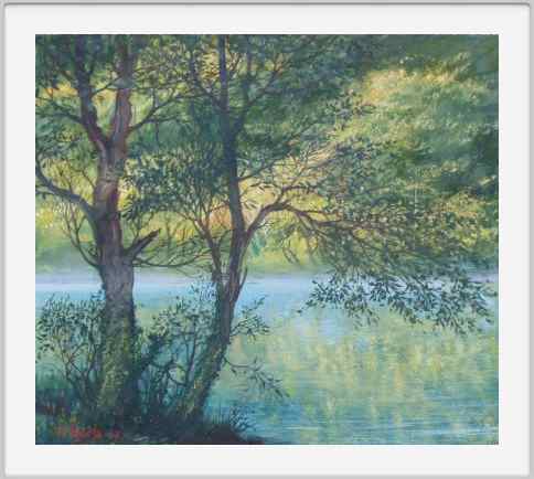 Riflessi