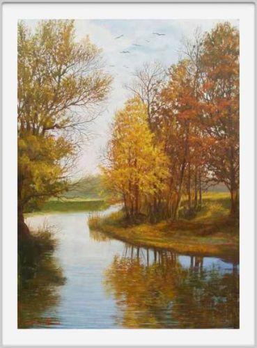 Riflessi