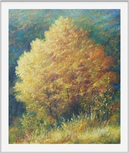 Albero giallo