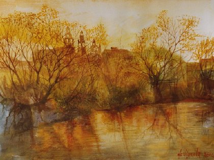 Riflessi