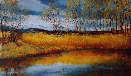 Riflessi